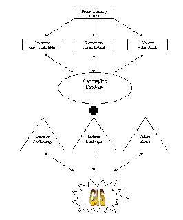 Flow Chart of Silet Pacific Lamprey Project