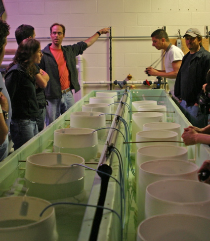mollusc_tanks