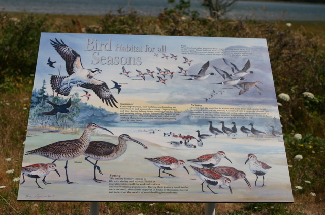 bird_sign