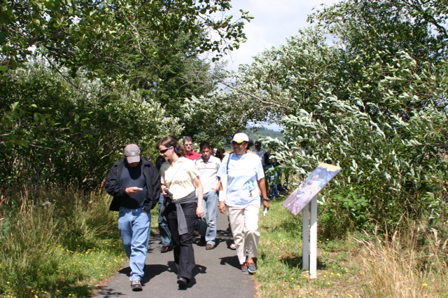 estuary_walk2