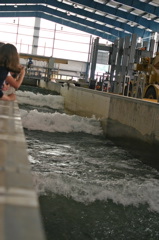 tsunami_waves