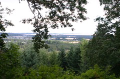 Corvallis_view
