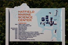 hatfield_sign