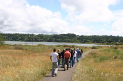 estuary_walk