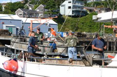 fishermen_at_work
