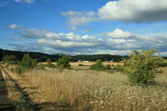 small_IMG_1150
