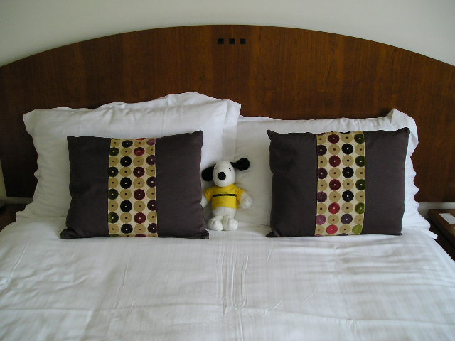 snoopy_snooze