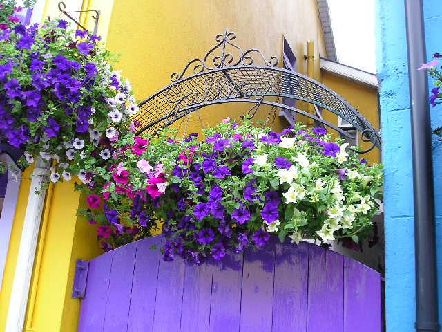 colorful_kinsale3