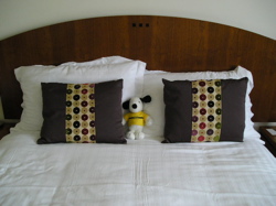 snoopy_snooze